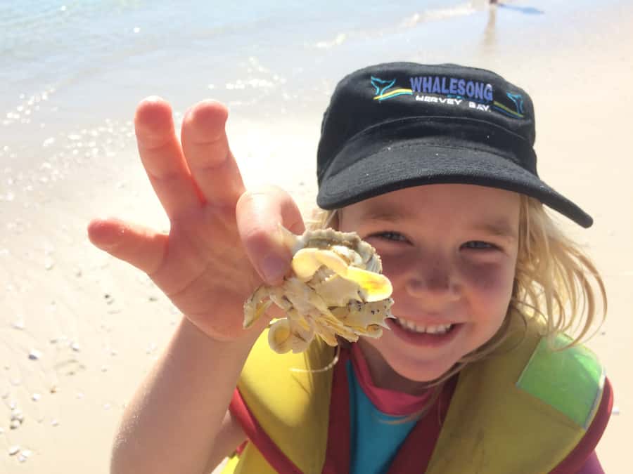 From Hervey Bay: Half-Day K'gari Fraser Island Beach Cruise - Pelican Banks vs the West Coast: why the swap can be a win