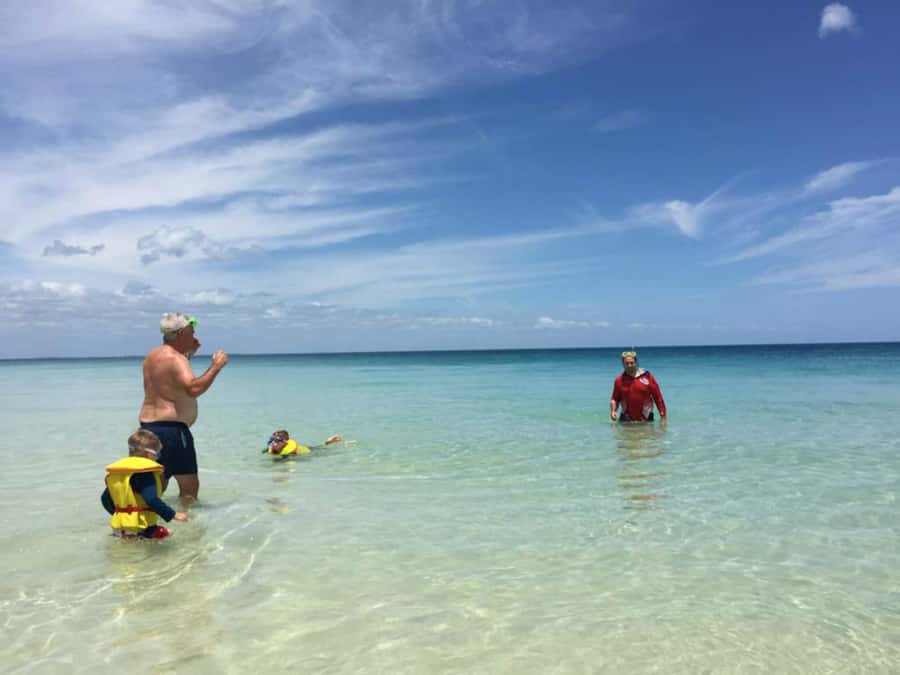 From Hervey Bay: Half-Day K'gari Fraser Island Beach Cruise - Value check: why $113 often feels fair