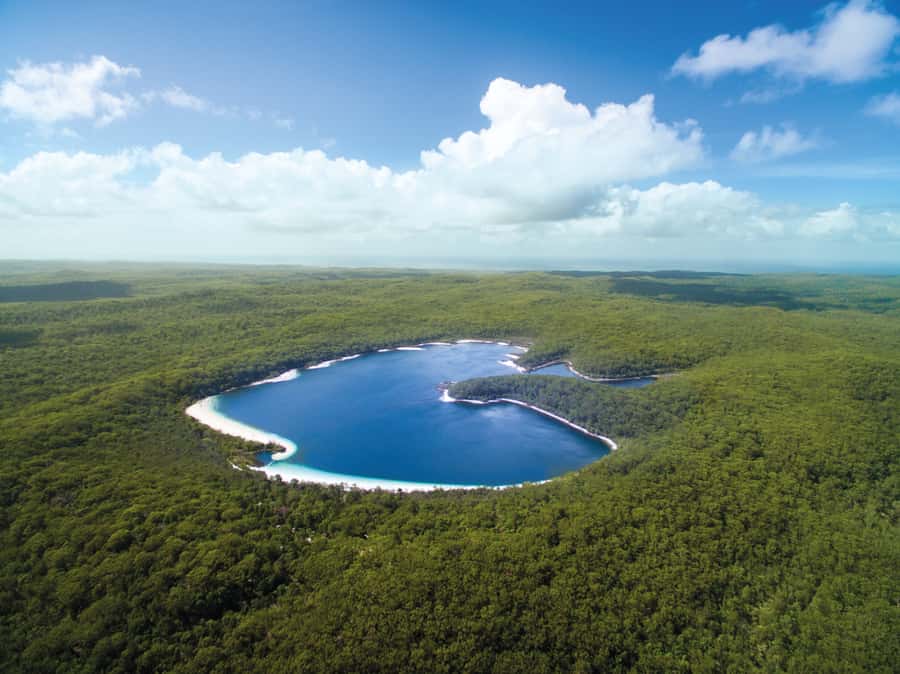 From Hervey Bay: K'gari, Fraser Island Full-Day Coach Tour - 75 Mile Beach and the Maheno Shipwreck: Drama You Can Touch