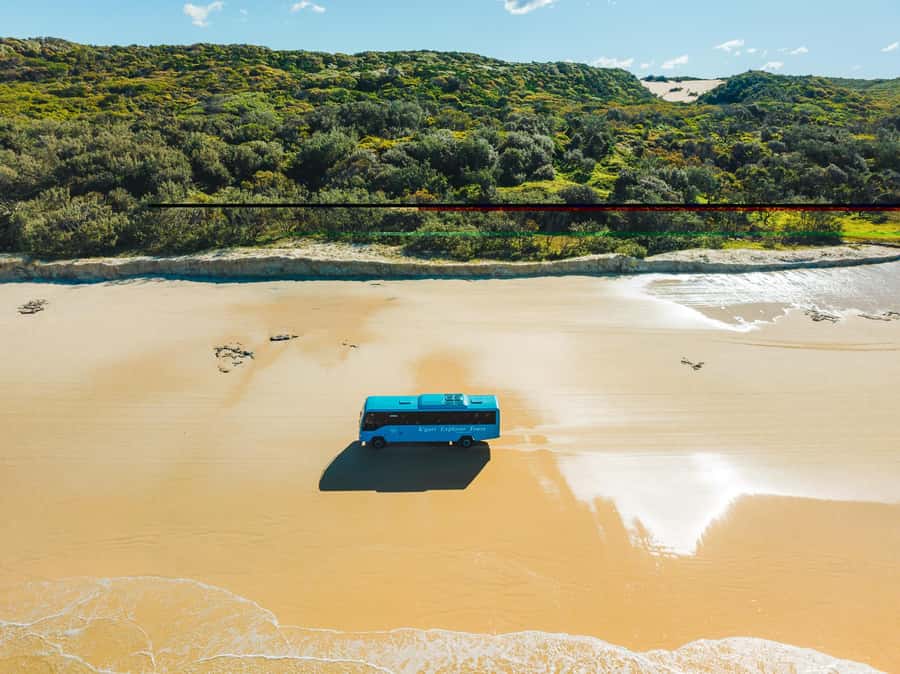 From Hervey Bay: K'gari, Fraser Island Full-Day Coach Tour - Guides, Commentary, and How to Get the Most Out of It