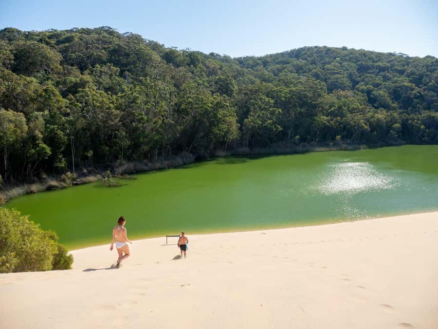 From Hervey Bay: K'gari, Fraser Island Two-Day Coach Tour - The Coach Ride That Turns Chaos Into a Smooth Island Circuit
