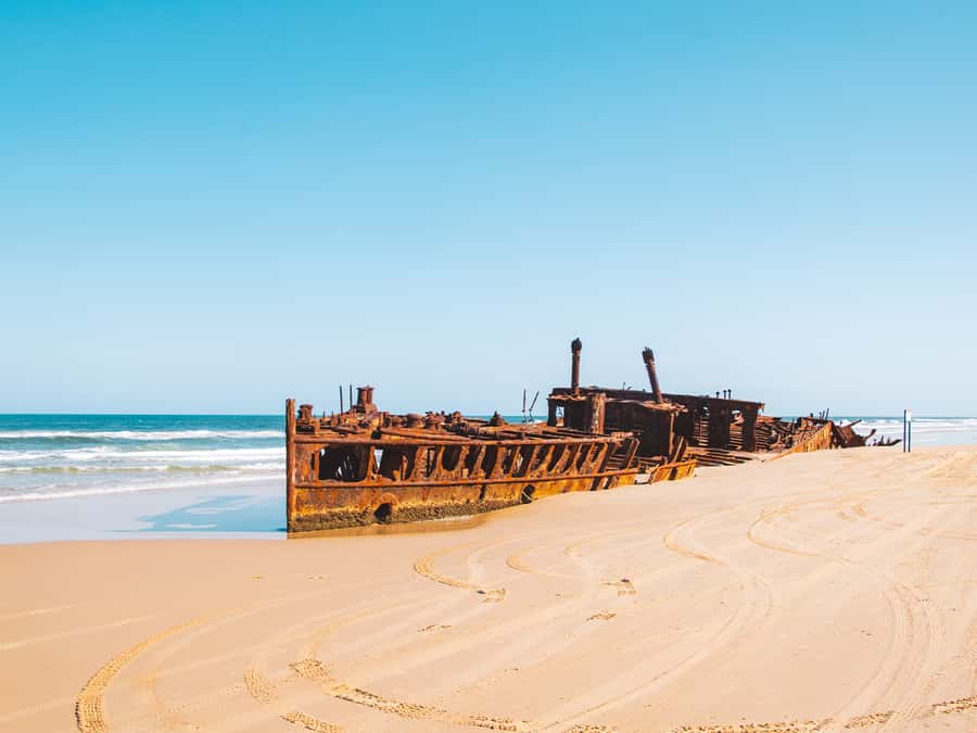 From Hervey Bay: K'gari, Fraser Island Two-Day Coach Tour - Wildlife, Guides, and the Little Moments That Make the Trip