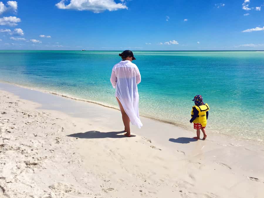 From Hervey Bay: Remote K'gari Tour by Boat with Lunch - Lunch on the Boat, Then Afternoon Tea You’ll Actually Want