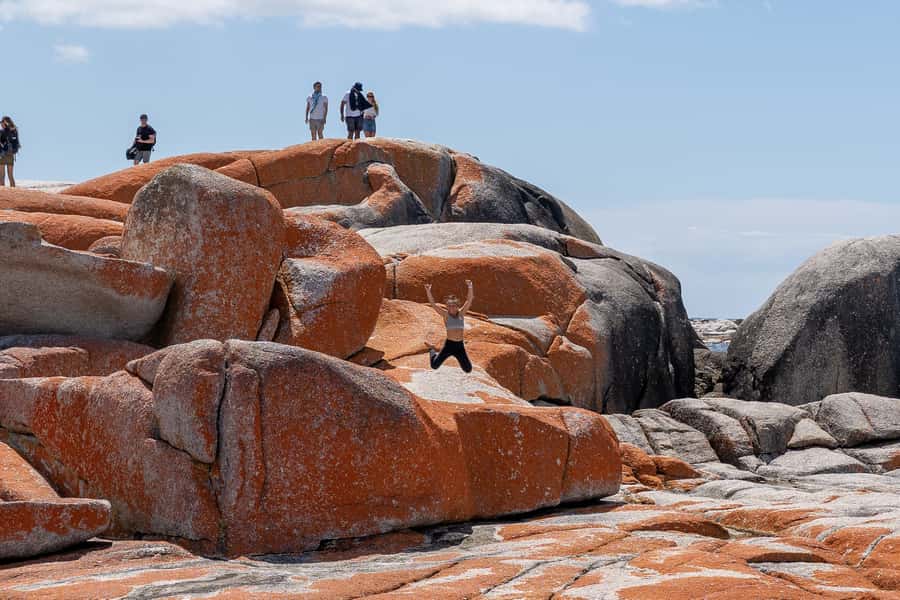 From Hobart: 5-Day Tasmania West & East Coast Tour - Key highlights worth prioritizing