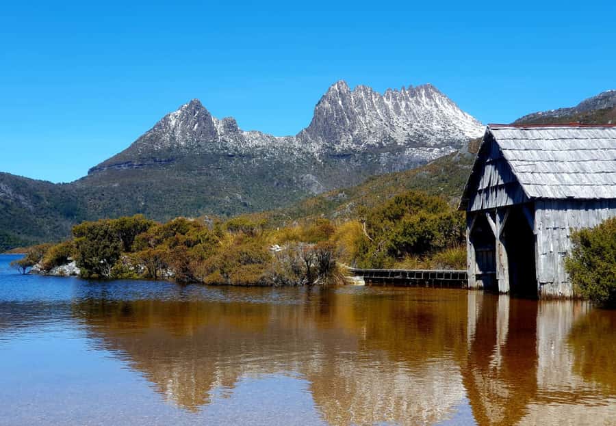 From Hobart: Active Day Trip to Cradle Mountain - Deloraine breakfast stop, plus little timing wins