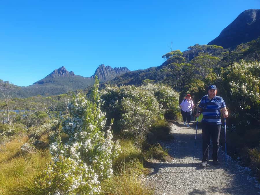 From Hobart: Active Day Trip to Cradle Mountain - Picnic lunch in the wilderness, plus what to pack so you stay sane