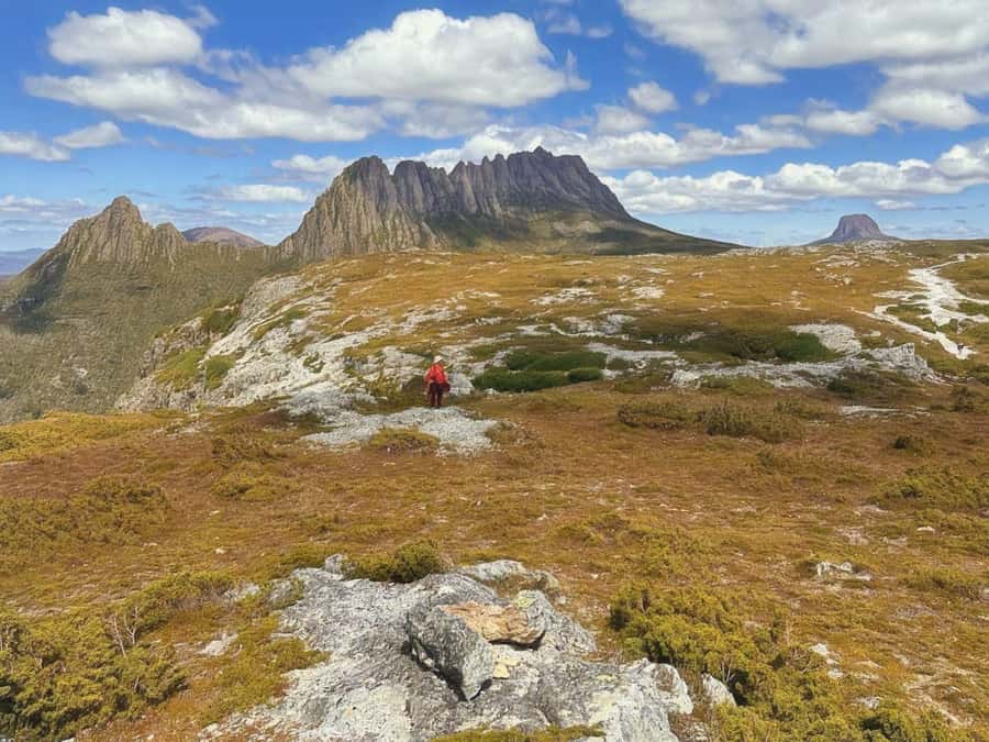 From Hobart: Active Day Trip to Cradle Mountain - Price and value: is $184 worth a long day?