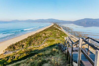 From Hobart/Adventure Bay: Bruny Island Wilderness Cruise