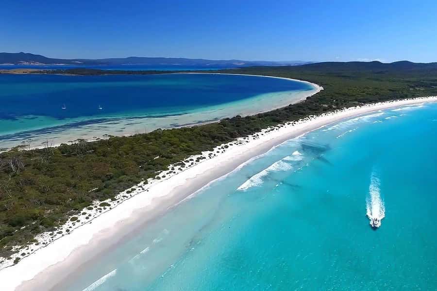 From Hobart: Day Tour to Maria Island with Bus Connection - Cruise the East Coast and Maria Island’s Famous Shorelines