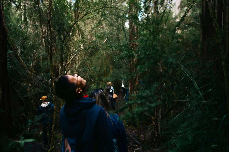From Hobart: Full-Day Bruny Island Tour with Guide - Morning Pickup in Hobart, Then the Ferry Makes It Real
