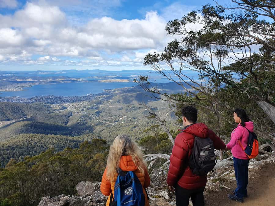 From Hobart: Mt Wellington Morning Walking Tour - Quick hits you will feel on this tour