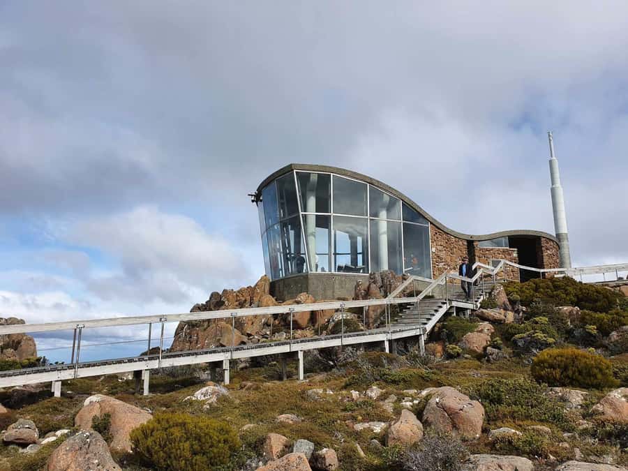 From Hobart: Mt Wellington Morning Walking Tour - The drive through Fern Tree and up to The Springs