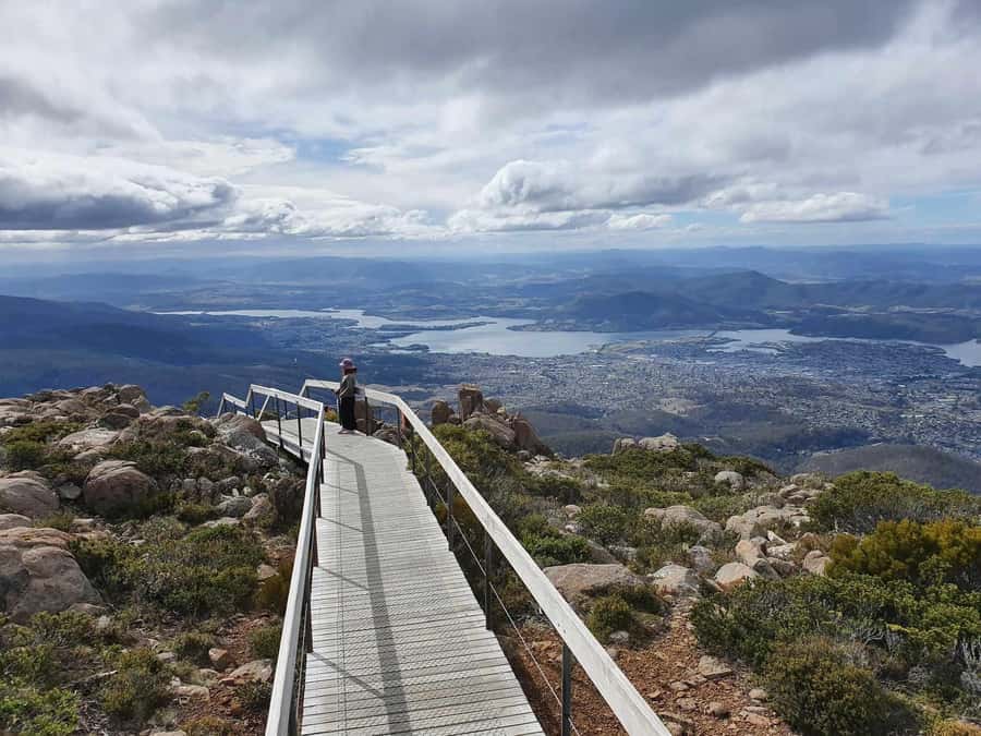 From Hobart: Mt Wellington Morning Walking Tour - 90 minutes under the Organ Pipes, close to dolerite cliffs