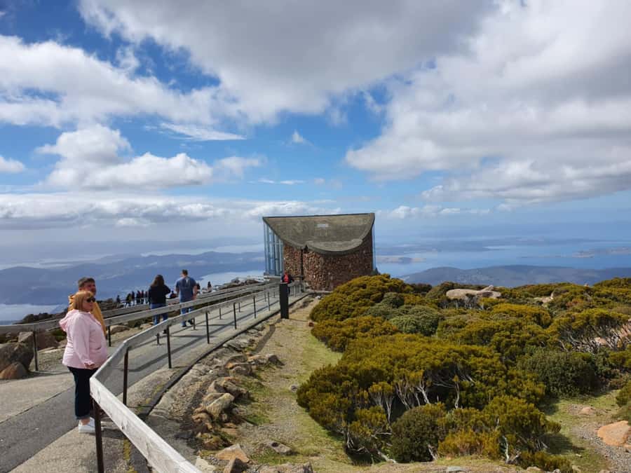 From Hobart: Mt Wellington Pinnacle 2 Hour Small Group Tour - The tree line climb: reaching 1,270m, the Pinnacle, and what “30 minutes” buys you