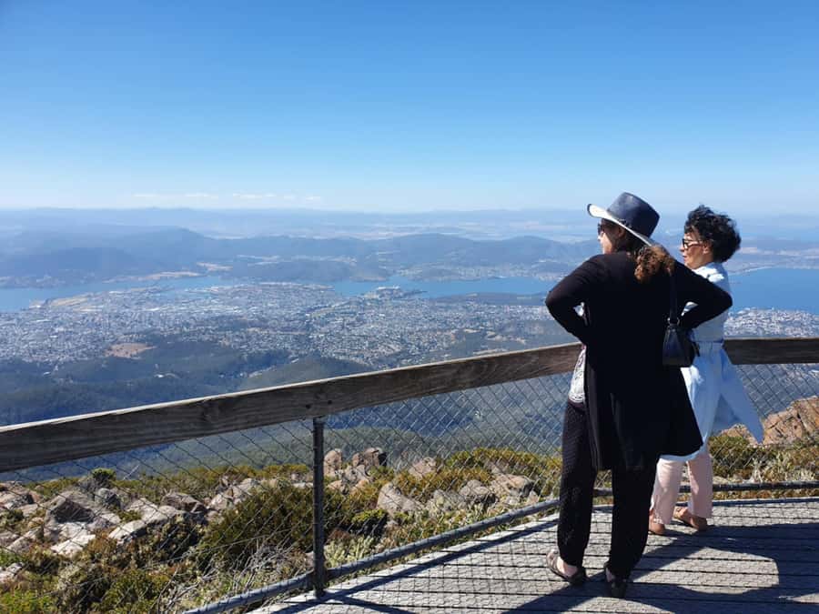From Hobart: Mt Wellington Pinnacle 2 Hour Small Group Tour - Price, comfort, and what is actually included in the $38