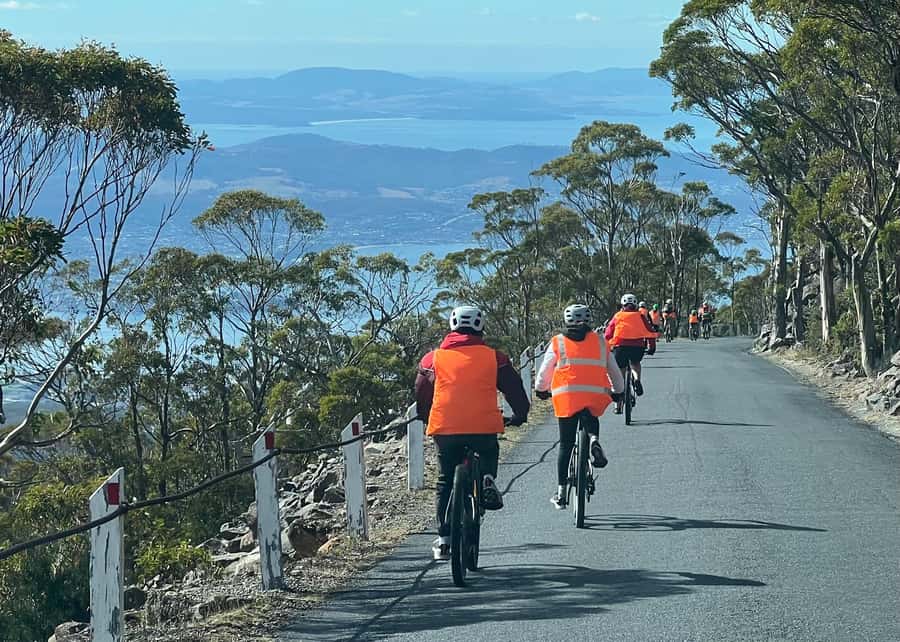 From Hobart: Mt Wellington Summit & Rainforest Bike Tour - Mt Wellington summit first, then the rainforest ride you actually remember