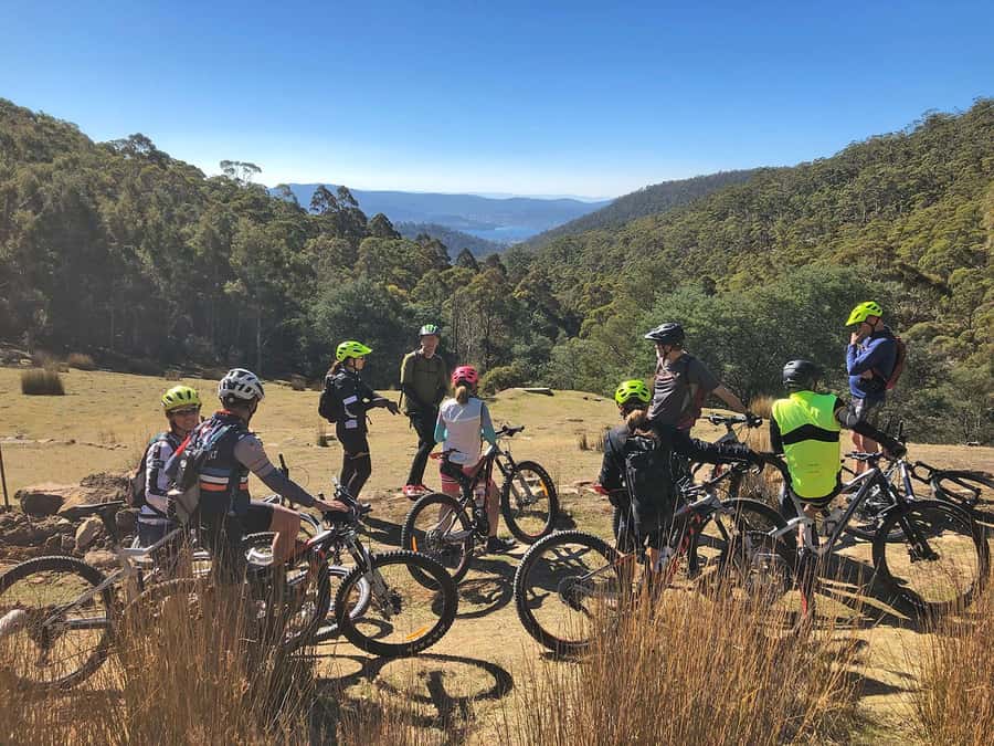 From Hobart: Mt Wellington Summit & Rainforest Bike Tour - Getting there from South Hobart, and what to expect when you arrive