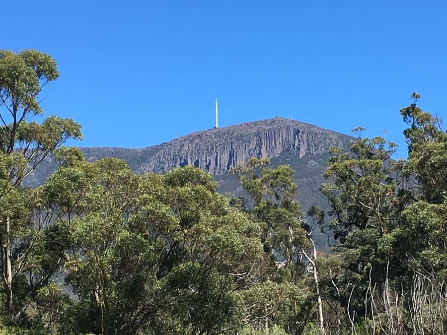 From Hobart: Mt Wellington Summit & Rainforest Bike Tour - Rainforest bike ride: giant ferns, eucalyptus, waterfalls, and historic aqueducts