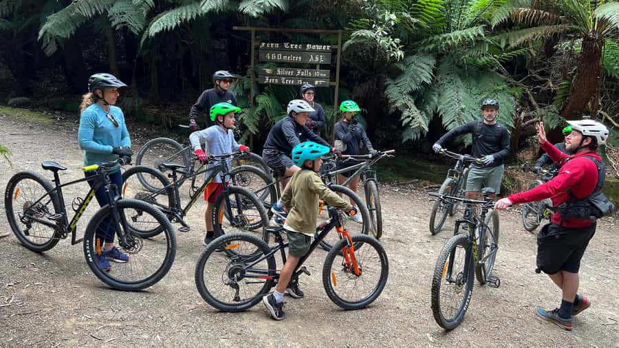 From Hobart: Mt Wellington Summit & Rainforest Bike Tour - Photo moments and the short break that keeps the energy steady