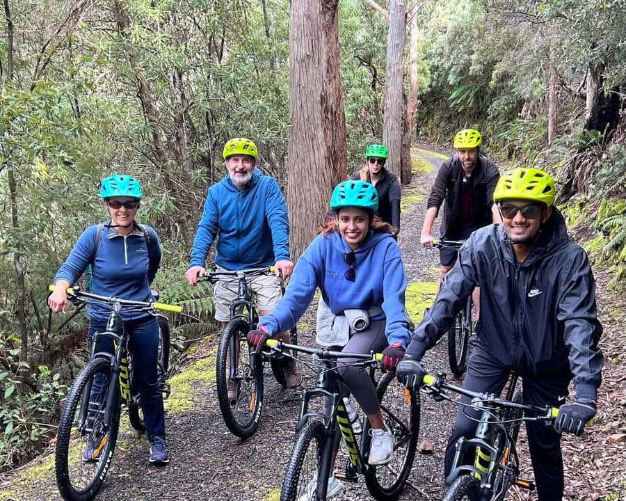 From Hobart: Mt Wellington Summit & Rainforest Bike Tour - The 6 km summit descent: where the fun is, and why it still feels easy