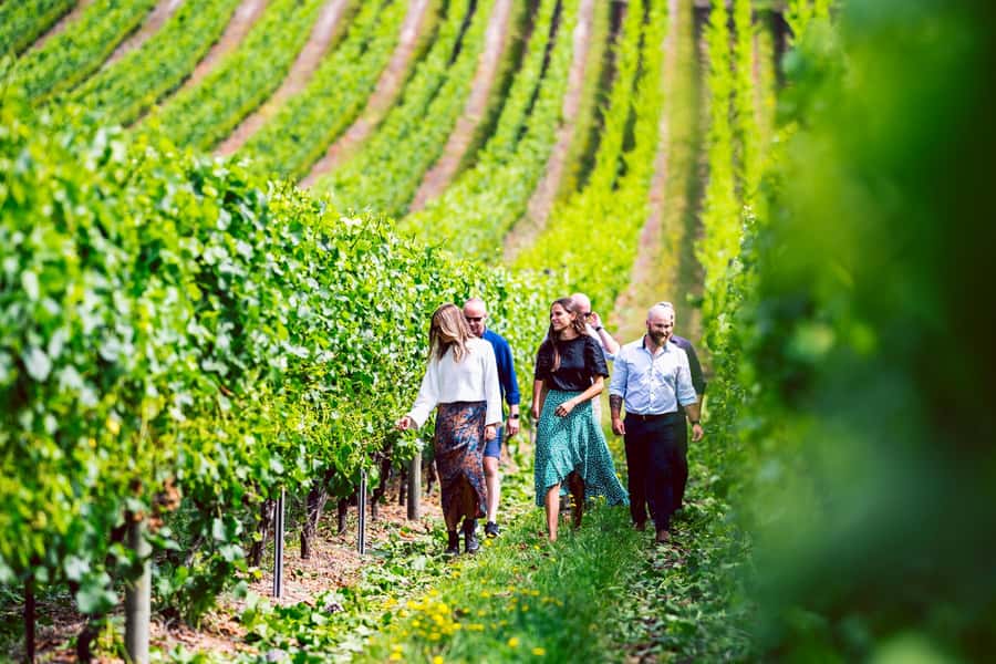 From Hobart: Signature Full Day Tour - A full-day tasting that actually fits a first trip from Hobart