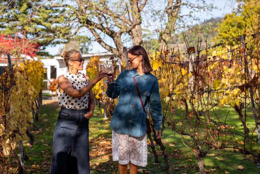 From Hobart: Tasmanian Wine Tour - The Van, the Pace, and Why Max 16 People Feels Like a Real Day Out