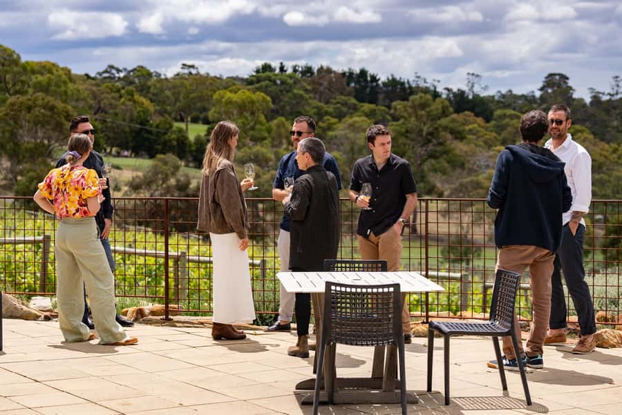 From Hobart: Tasmanian Wine Tour - The Tasting Rhythm: What the Cheese Plate and Stops Are For