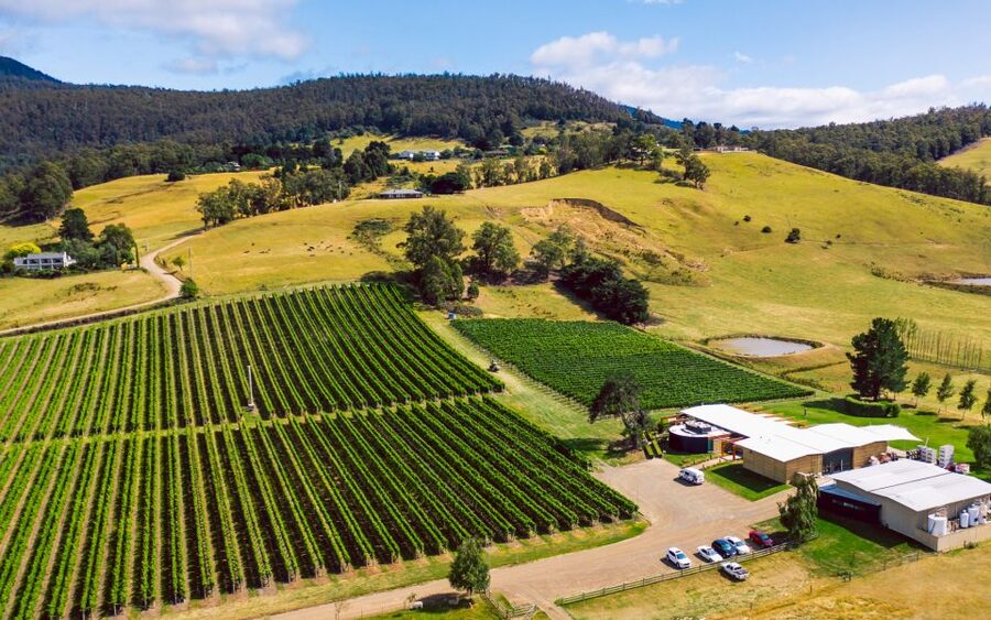 From Hobart: Tasmanian Wine Tour - Price and Value: Does $204 Make Sense?