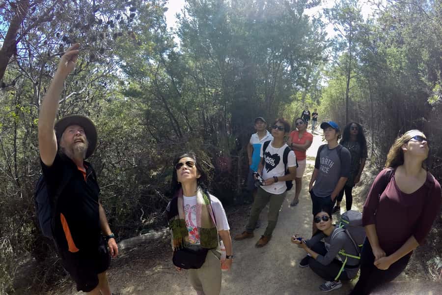 From Launceston: Full-Day Wineglass Bay Explorer Active Tour - Guides, driving, and the small details that make or break a day