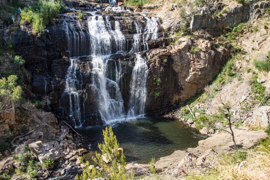 From Melbourne: 2-Day Great Ocean Road & Grampians Escape - Bus comfort, guide style, and driver changes you should know about