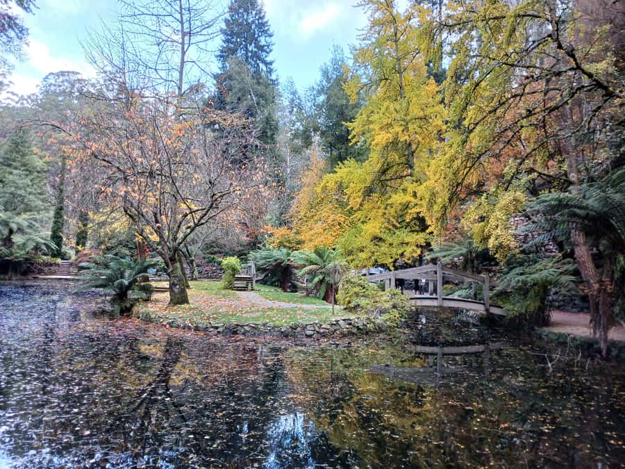 From Melbourne: Dandenong Ranges Private Day Tour - Price and Value: How to Think About $247 Per Group