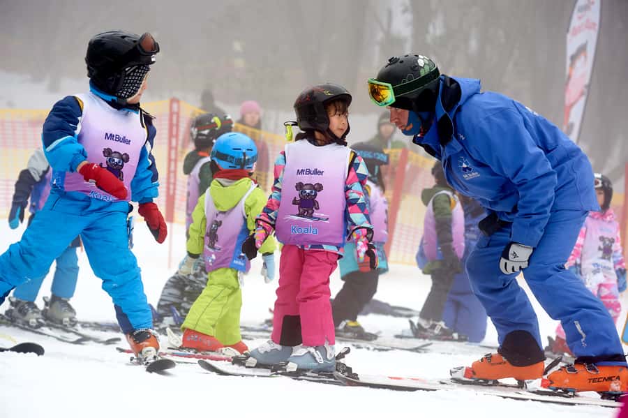 From Melbourne: Day Trip to Mt Buller by Premium Tour Coach - Key highlights you will actually feel on the day