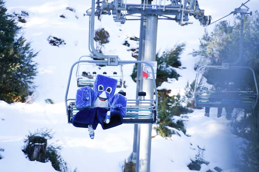 From Melbourne: Day Trip to Mt Buller by Premium Tour Coach - Leaving Melbourne: Southern Cross to Mt Buller in one smooth move