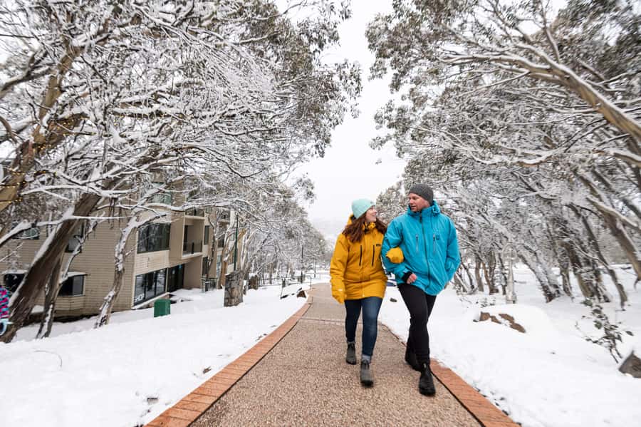 From Melbourne: Day Trip to Mt Buller by Premium Tour Coach - Timing back to Melbourne: 4.30pm departure and what that means for dinner plans