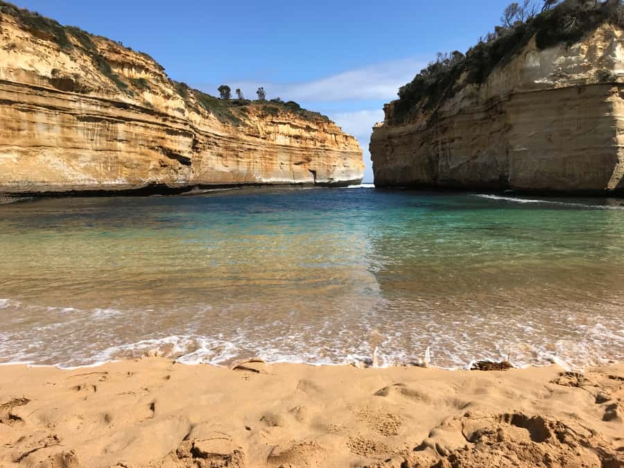 From Melbourne: Great Ocean Road Boutique Tour in Reverse - Apollo Bay, then Kennett River for wildlife spotting