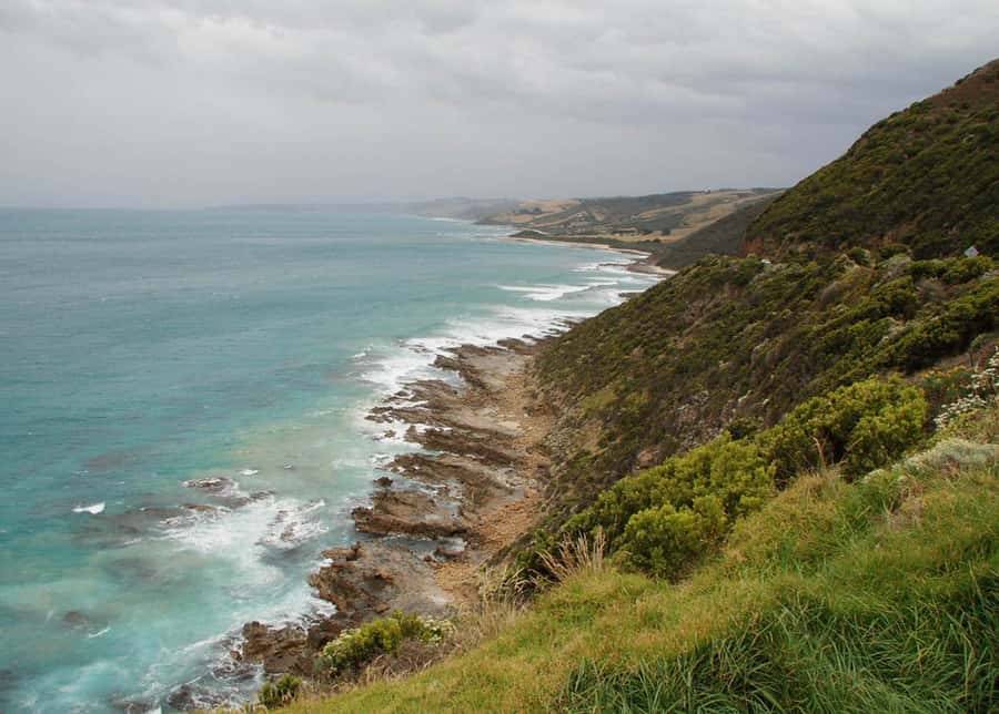 From Melbourne: Great Ocean Road Day Tour - Forest walk plus rainforest break: the best reset from road views