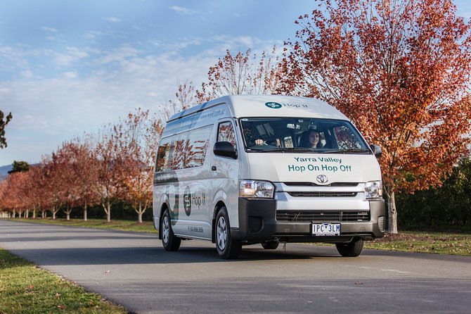 From Melbourne: Hop On Hop Off Yarra Valley - RED Route - Price and Value: Is $66.67 a Good Deal for a Day in Yarra Valley?