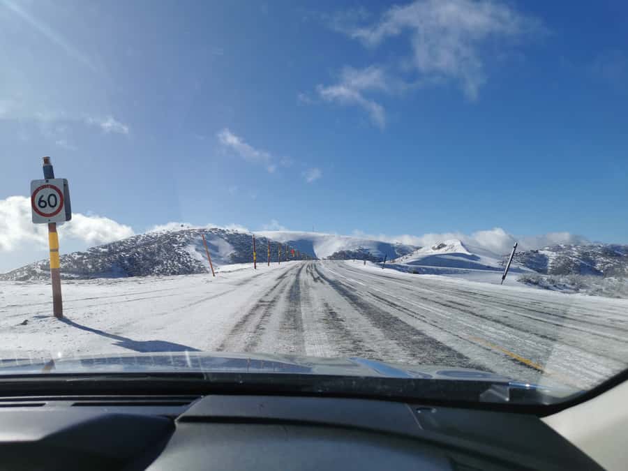 From Melbourne: Mount Buller Guided Day Tour - Key Things You’ll Notice
