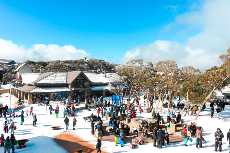 From Melbourne: Mount Buller Guided Day Tour - The Early Start From Melbourne, and Why It Works