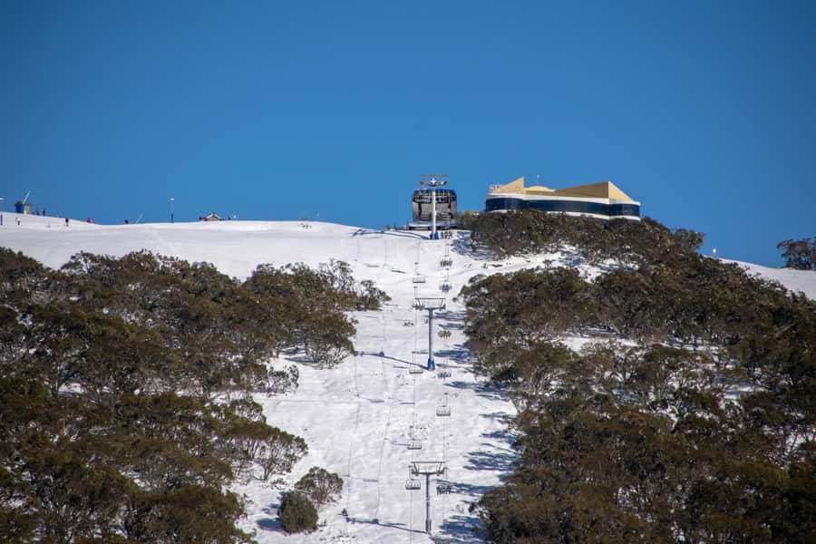 From Melbourne: Mount Buller Guided Day Tour - Food, Coffee, and Drinks: Plan for On-Mountain Spending