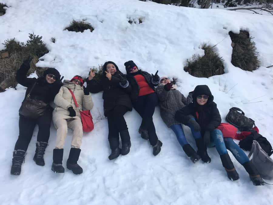 From Melbourne: Mt Buller Snow Day Small Group Boutique Tour - Key highlights you will actually feel on the ground