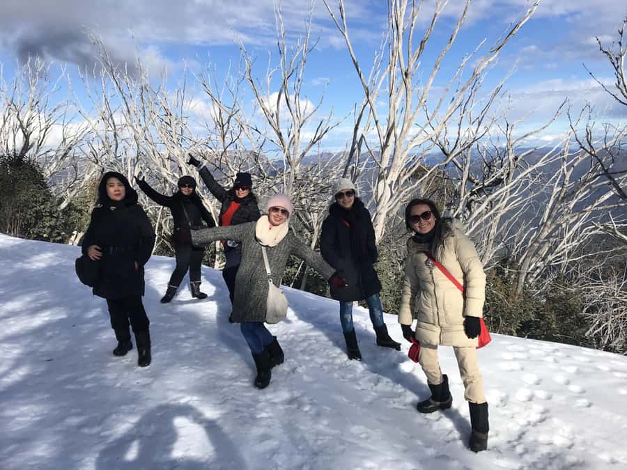 From Melbourne: Mt Buller Snow Day Small Group Boutique Tour - Horse Hill car park to the slopes: the moment views become real