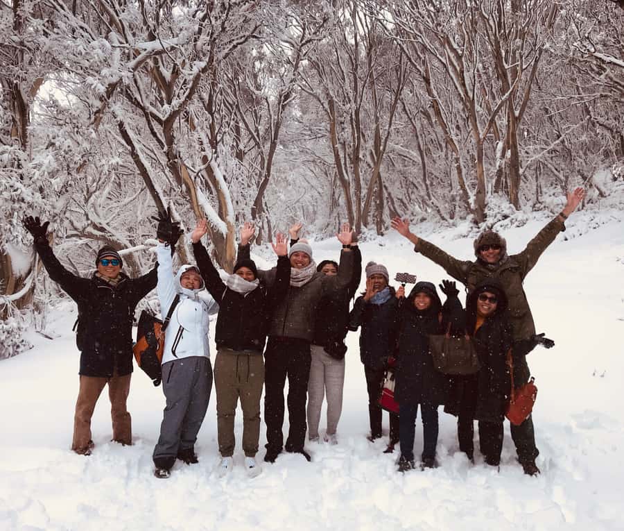 From Melbourne: Mt Buller Snow Day Small Group Boutique Tour - Village Circuit Track: guided snow views with the right amount of walking