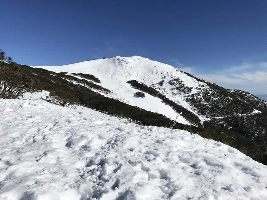 From Melbourne: Mt Buller Snow Day Small Group Boutique Tour - Timing, transport limits, and what to pack so you don’t suffer