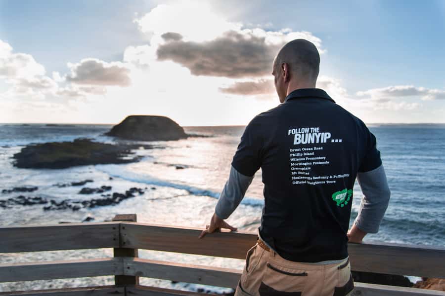From Melbourne: Penguin Parade Afternoon Tour - The Nobbies stop: where ocean views meet wildlife luck