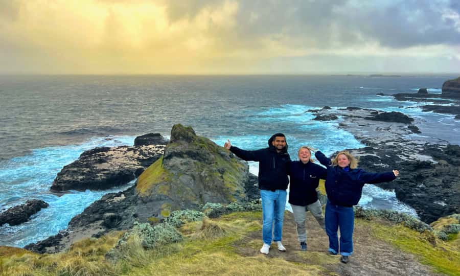 From Melbourne: Penguin Parade Afternoon Tour - Penguin Parade at sunset: how to actually see the little penguins