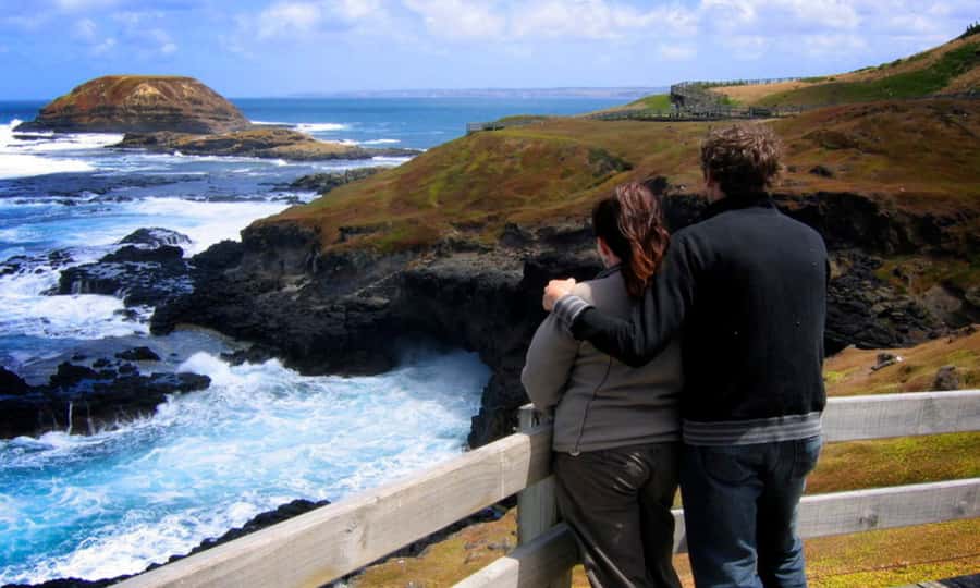 From Melbourne: Penguin Parade Afternoon Tour - The guide makes it: named pros who turn spotting into stories