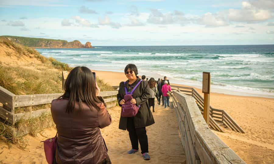 From Melbourne: Penguin Parade Afternoon Tour - Comfort, audio, and Wi-Fi: the small extras that help you enjoy more