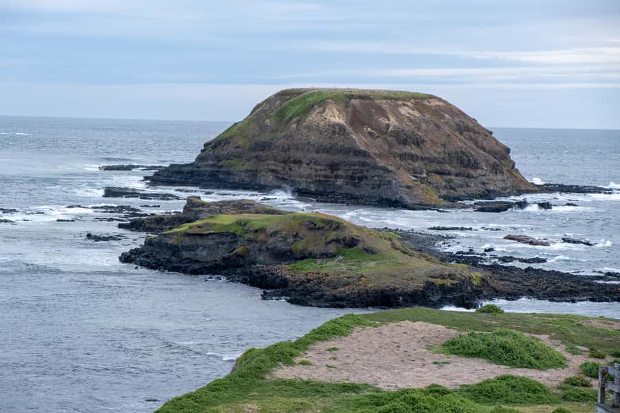 From Melbourne: Phillip Island and Penguin Parade Day Tour - Timing, weather, and what to pack for a cold penguin evening
