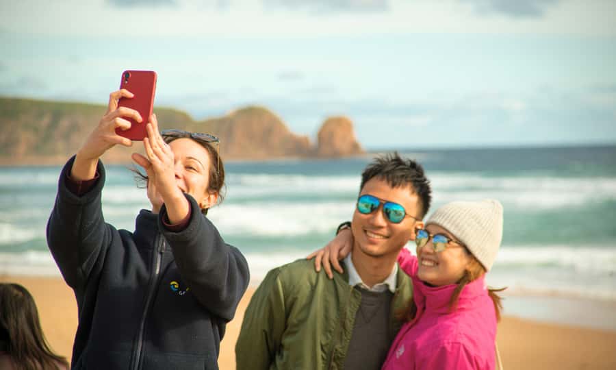From Melbourne: Phillip Island Penguin Parade Eco Tour - The Nobbies: ocean viewpoints and wildlife spotting chances